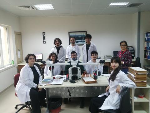 Mikroskopta kanserli dokuları inceliyoruz. 