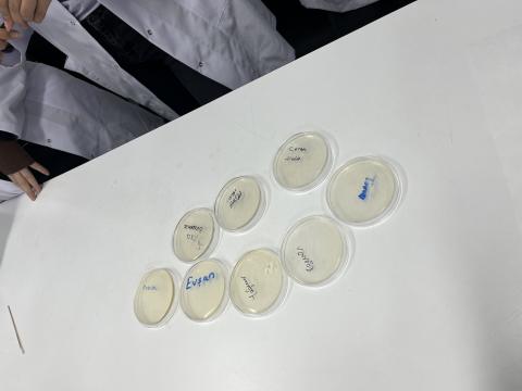 Mikrobiyoloji çalıştayı