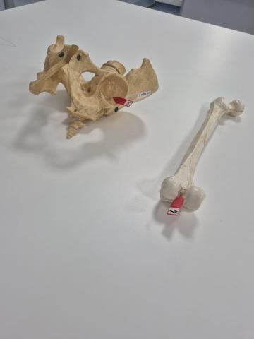 Sorularımızdan ikisi