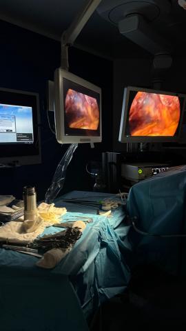 Ameliyat gözlemi etkinliğimizden birkaç kare 